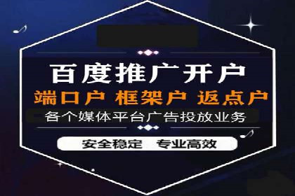 百度竞价广告在电商行业的实战应用案例